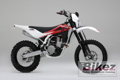 2010 Husqvarna TE 450 photo